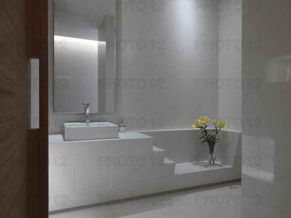 White marble bathroom