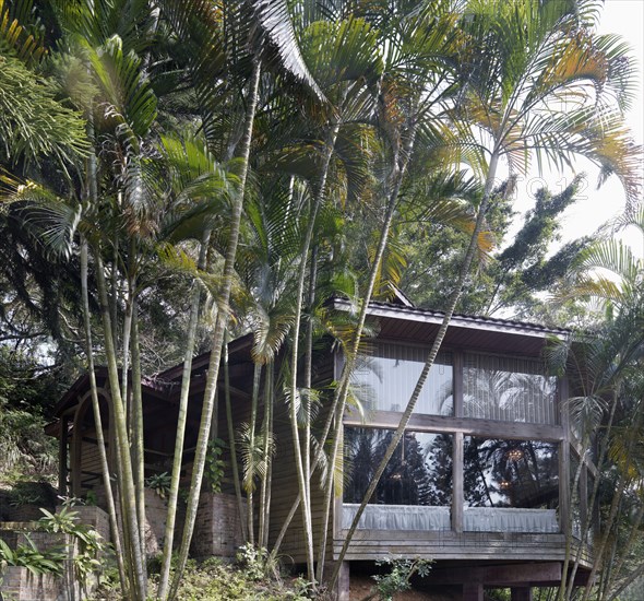 Multiple story timber construction building surrounded by tropical trees