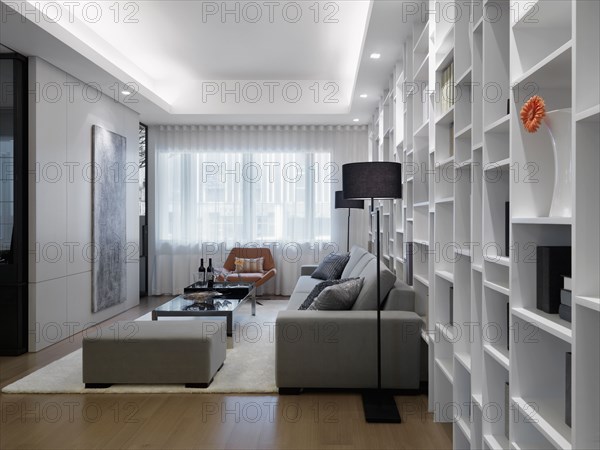 Modern living room with wall length bookcase