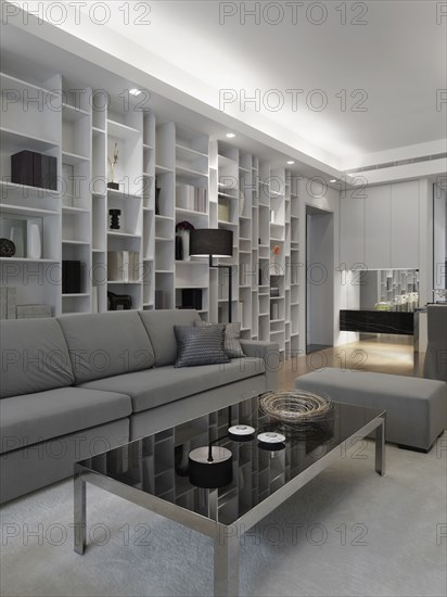 Modern living room with wall length bookcase