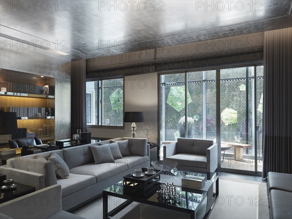 Modern living room with gray furniture