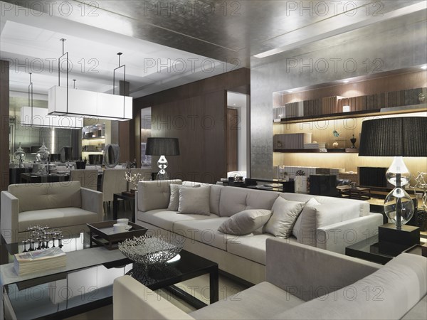 Modern living room