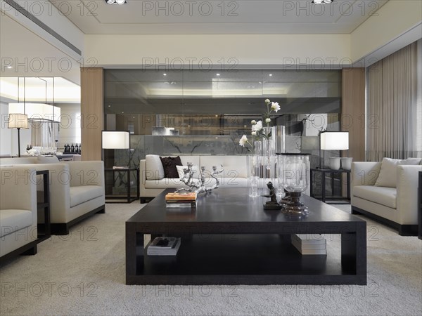 Low angle modern coffee table in living room