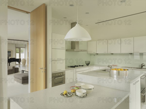 Clean modern kitchen with island