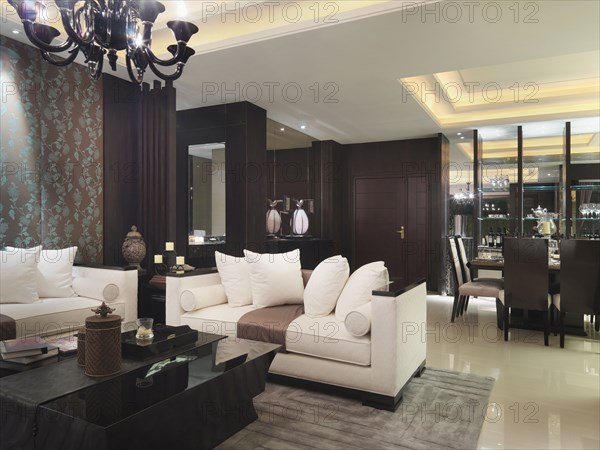 Living room in modern interior