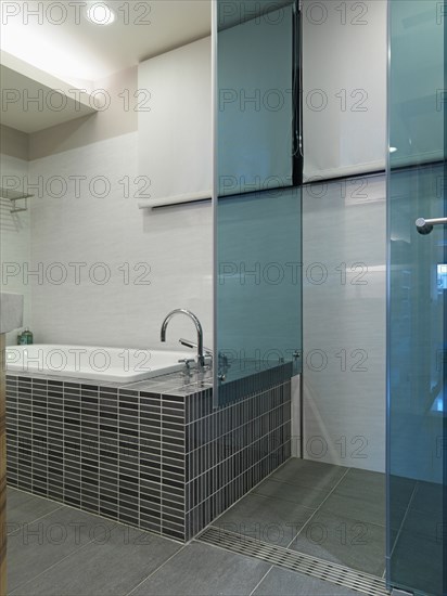 Mosaic tile bathtub and glass shower