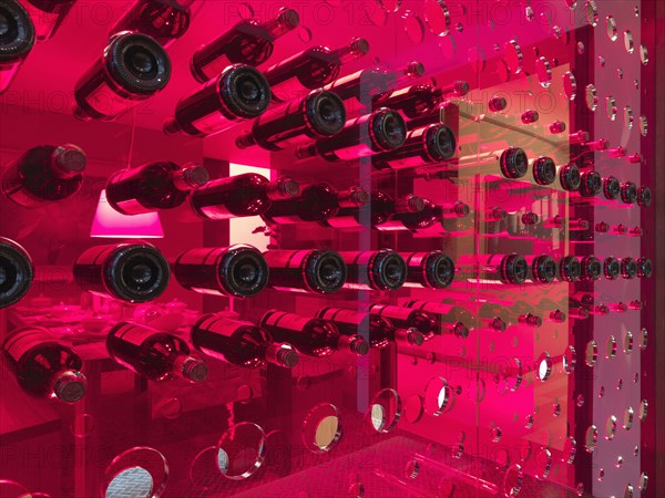 Modern rack for storing wine