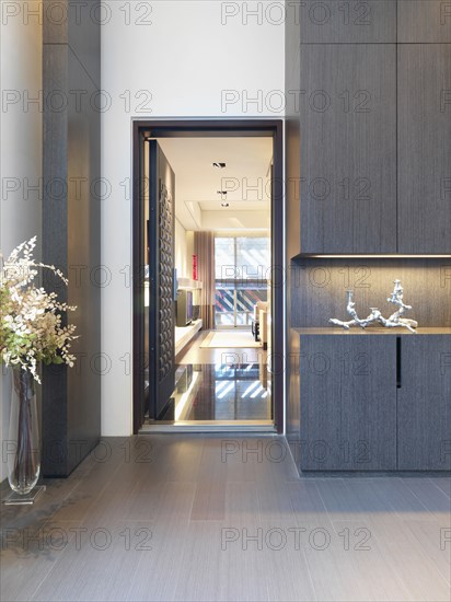 Door and hallway in modern home