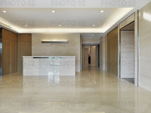 Reception desk in light-colored minimalism lobby