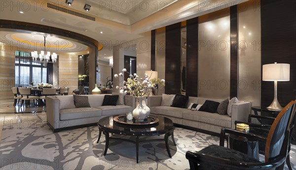 Living room in elegant home