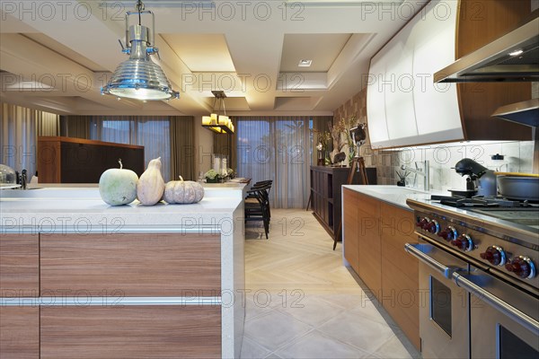 Kitchen in modern home