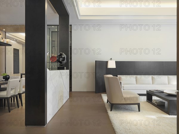 Minimalistic living room with area rug