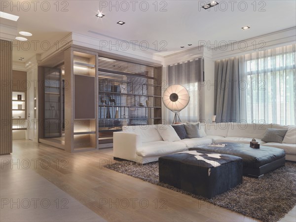 Living room with shag carpet in modern home