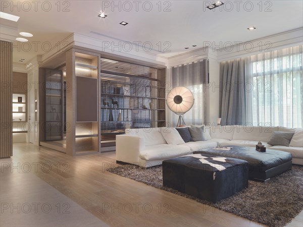 Living room with shag carpet in modern home