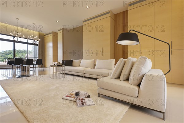 Large floor lamp over sofa in modern home