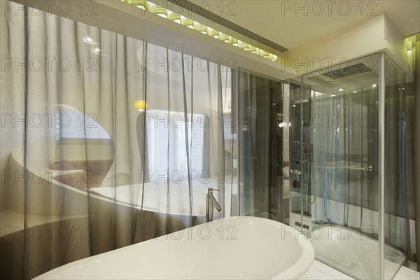 Freestanding bathtub in modern apartment