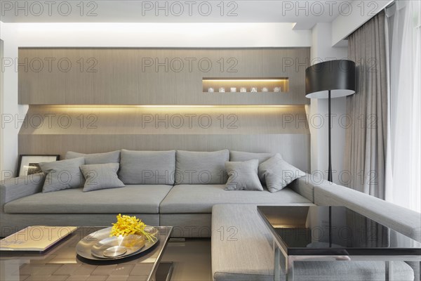 Gray sectional sofa in modern home