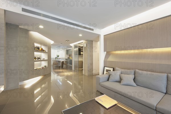 Gray sofa in modern living room