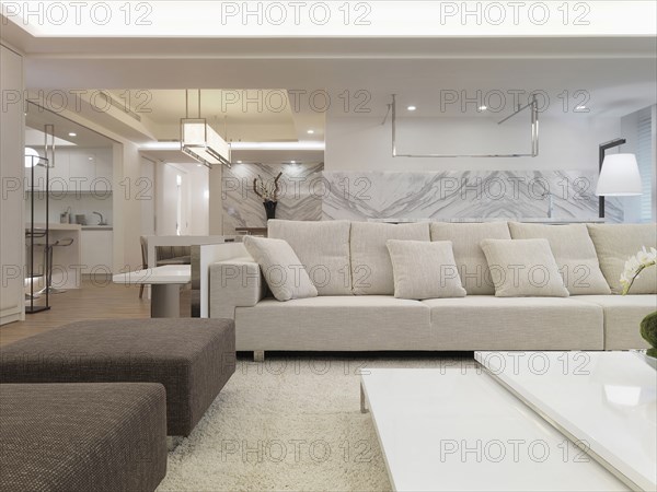 Modern living room with white sectional sofa