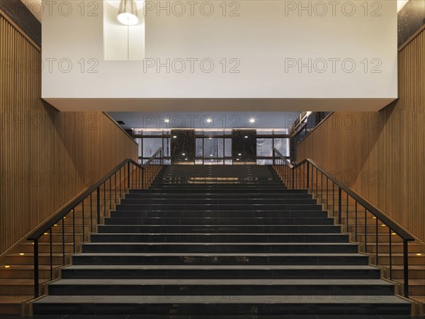 Large black tile and wood staircase