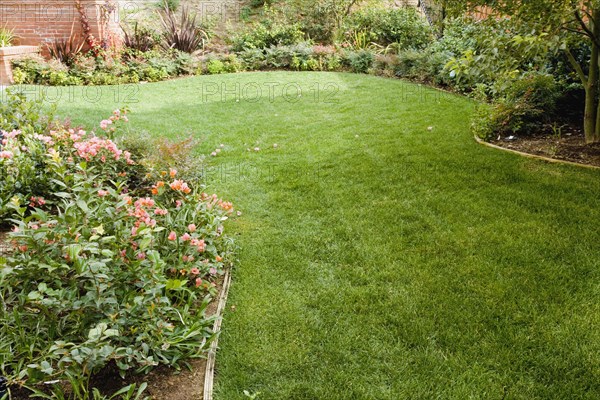 Detail lawn with landscaping