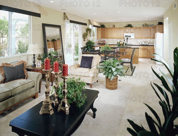 Traditional Living Room and Kitchen