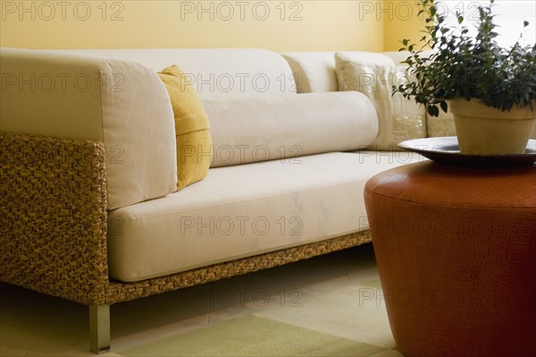 Detail of Contemporary Sofa in Living Room