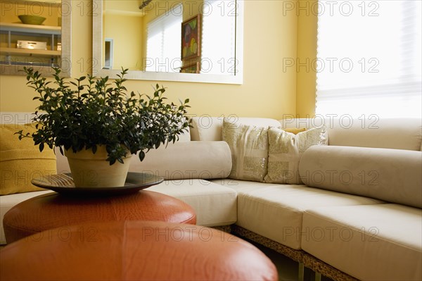 Detail of Contemporary Sofa in Living Room