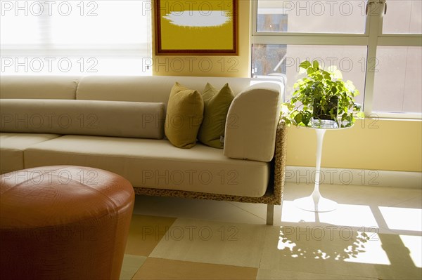 Detail of Contemporary Sofa in Living Room