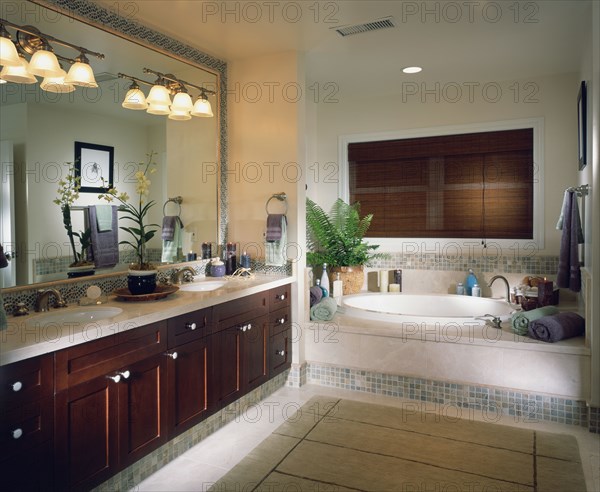 Elegant Contemporary Master Bathroom