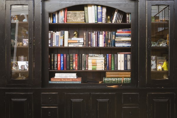 Dark Wood Bookshelf