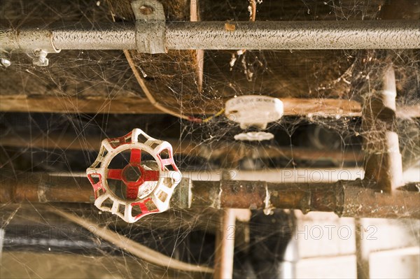 Old Basement Pipes