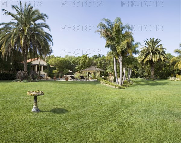 Birdbath in yard