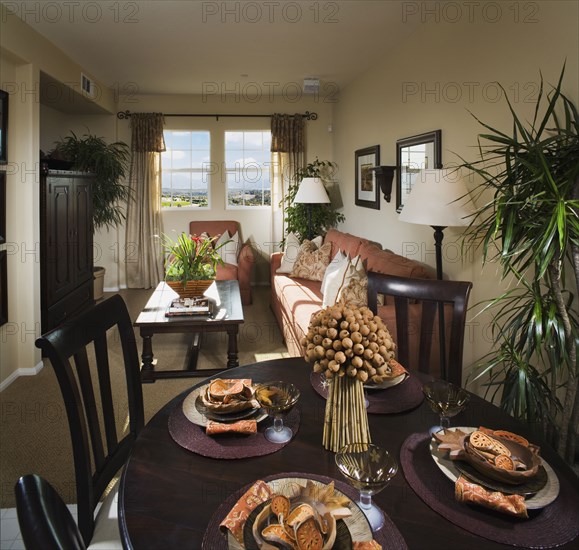 Contemporary dining area and living room