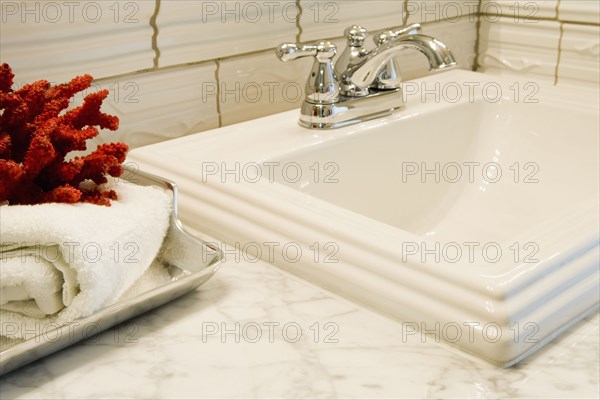 Bathroom Sink with Red Coral