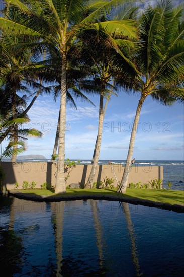 Backyard Swimming Pool Next to Ocean