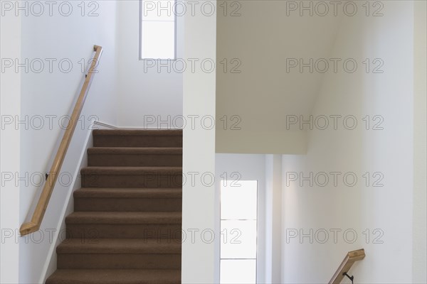 Contemporary Stairwell with Brown Carpet