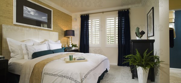 Serene Bedroom with Blue Accents