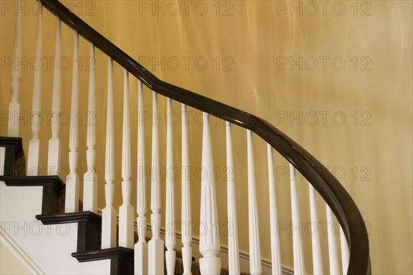 Contemporary Stairway with White Railings and Dark Wood Bannister