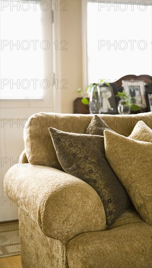 Traditional Couch and Pillows