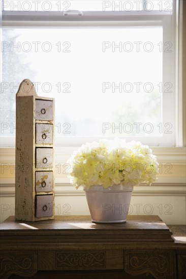 Country Style Decorations in Front of a Window