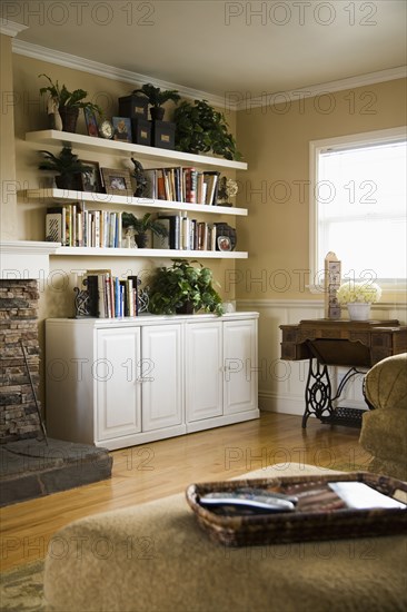 Detail of Traditional Living Room