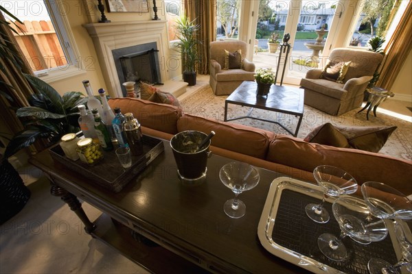 Living Room Scene with Martini Ingredients in Foreground