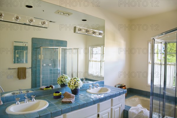 Bathroom with Blue Tile