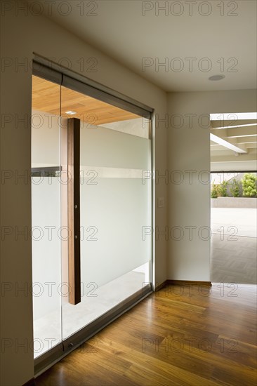 Modern Frosted Glass Door