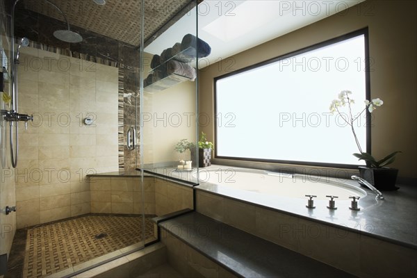 Modern Bathroom with hot tub and Shower