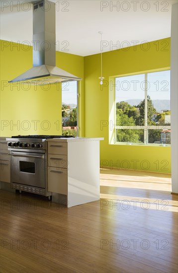 Modern Stainless Steel Kitchen with Green Walls