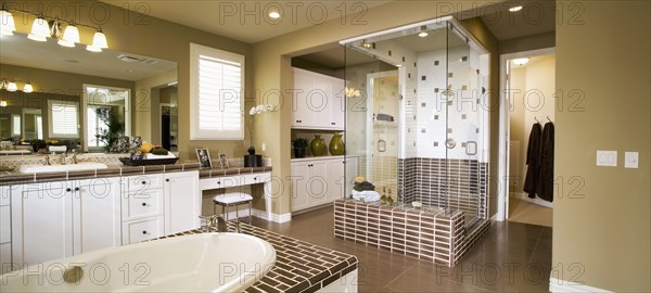 Interior of a contemporary master bathroom