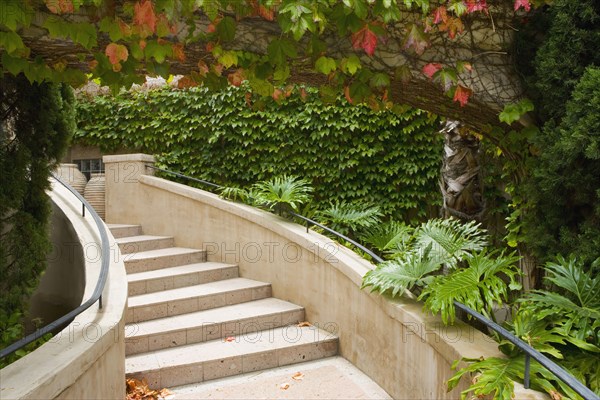 View of steps surrounded with foliage.