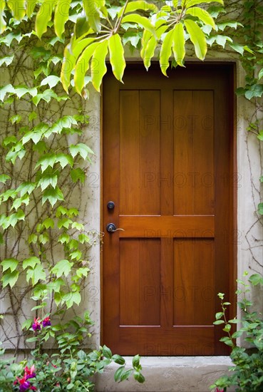 Detail of wood door next to ivy covered wall.